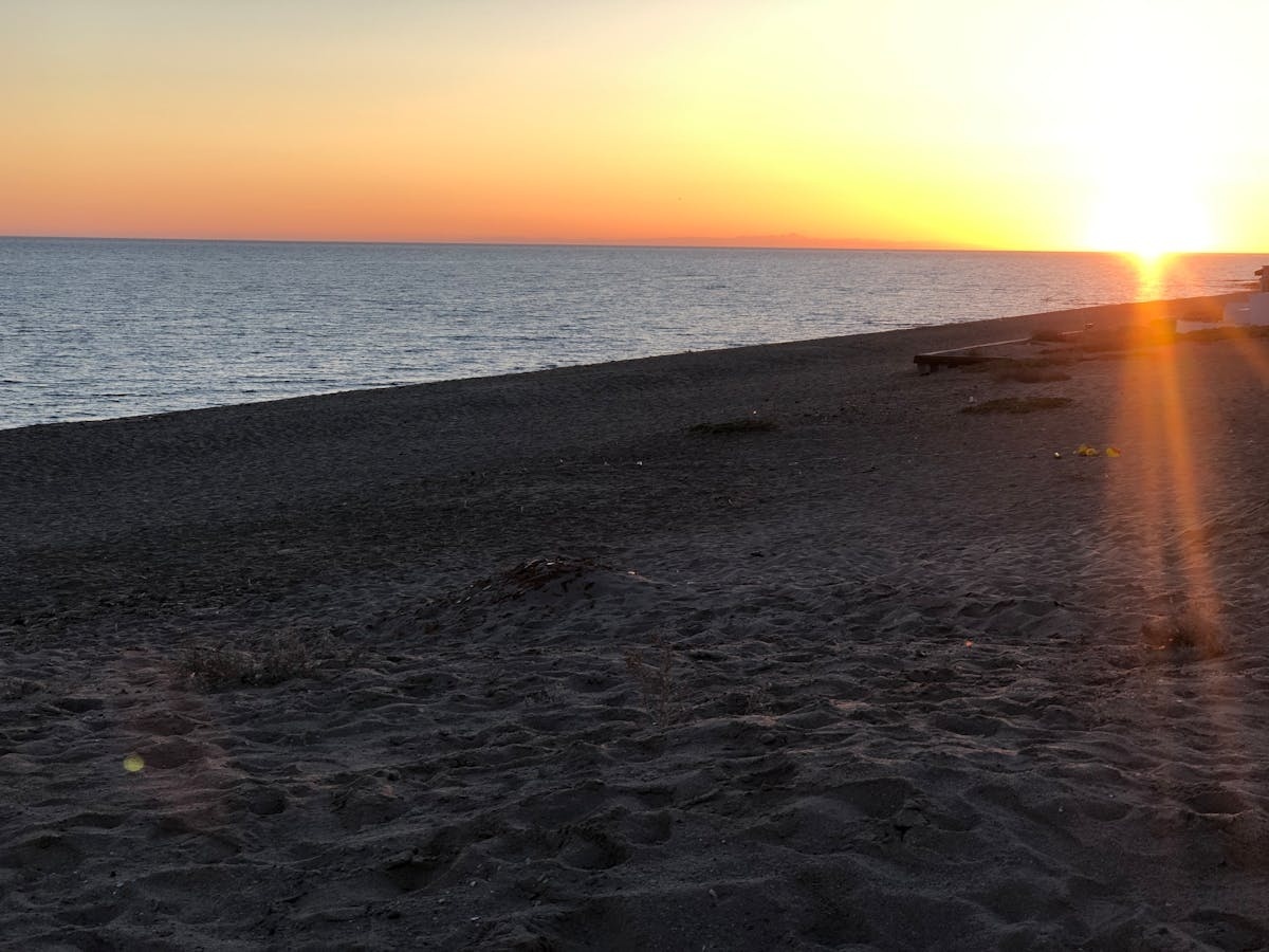 [case_study_2_image]